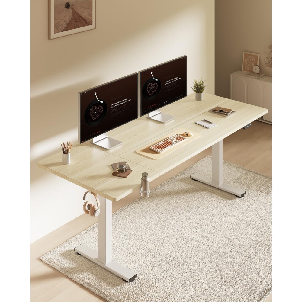 Scrivania Elettrica Regolabile - Desk Setup Home Office recensione e prezzo