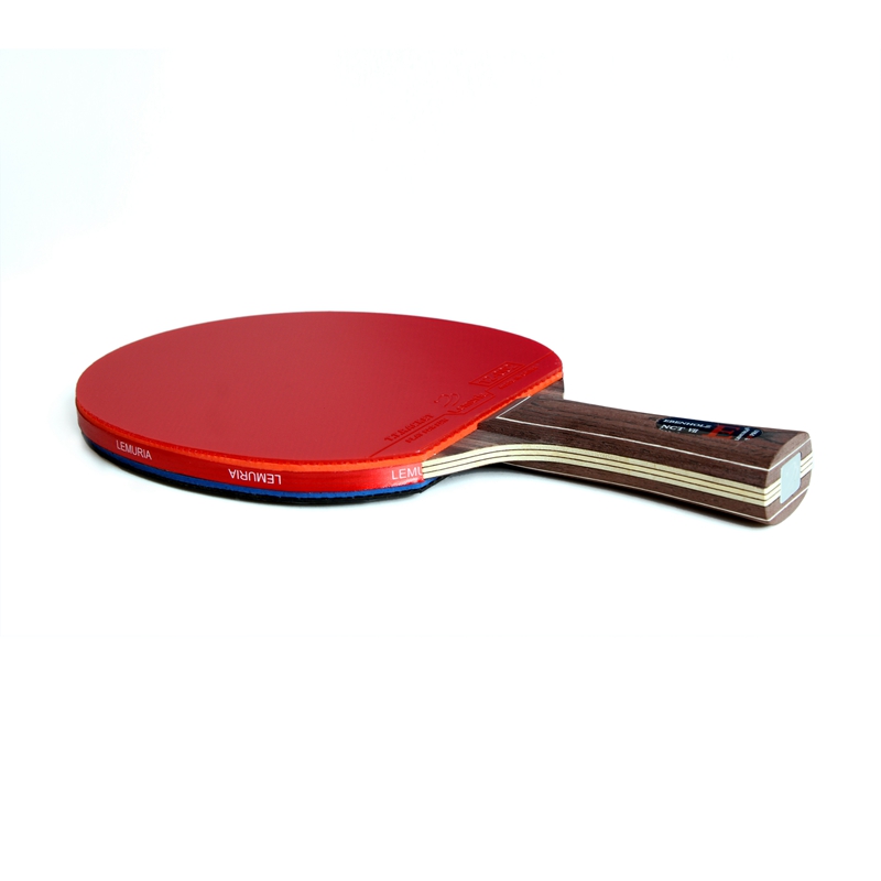 Lemuria EBENHOLZ - Racchetta d - Desk Setup Tips recensione e prezzo