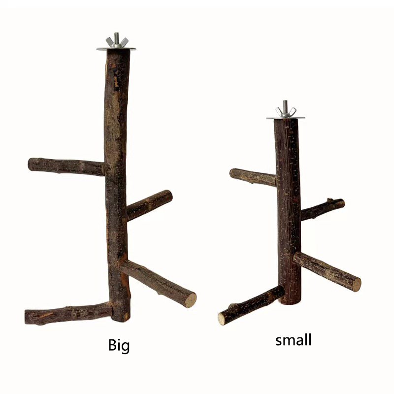 1 pz mela naturale ramo di ucc - Desk Setup Apple recensione e prezzo