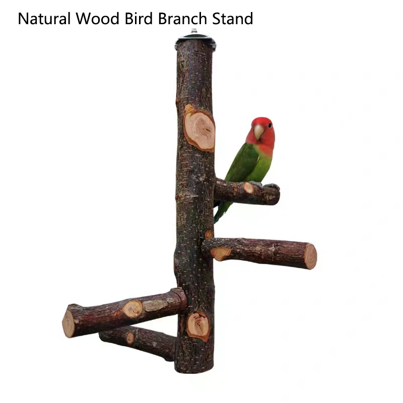 1 pz mela naturale ramo di ucc - Desk Setup Apple recensione e prezzo